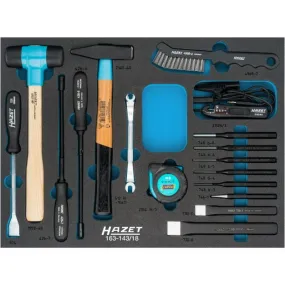 Hazet 163-143/18 Gereedschapset in inleg